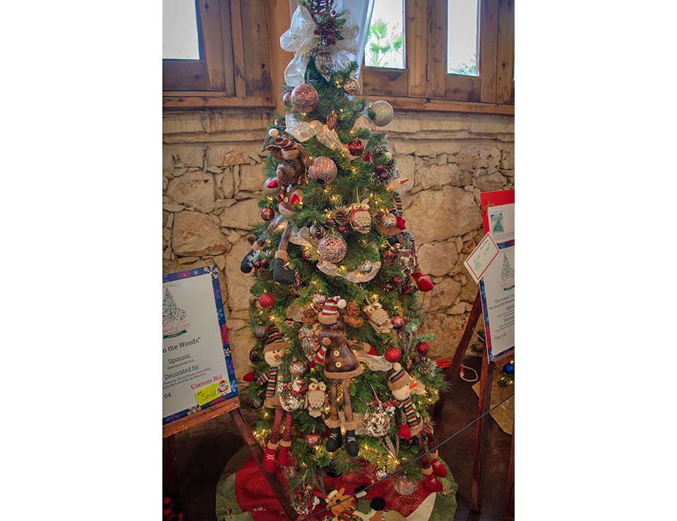 5th Annual Festival of Trees New Braunfels 5.png