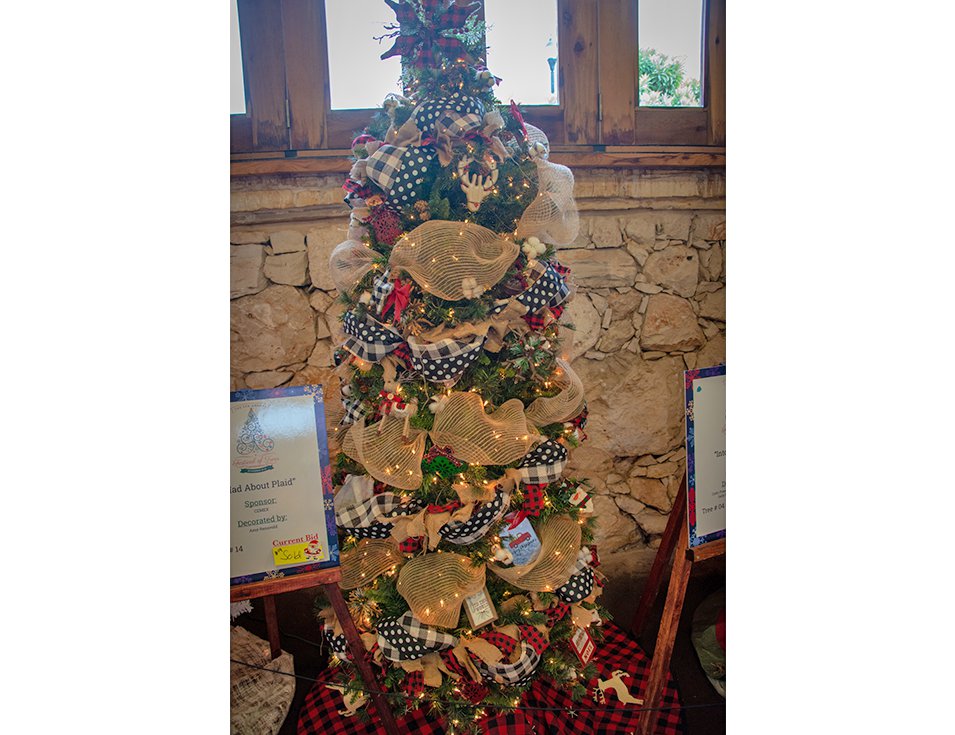 5th Annual Festival of Trees New Braunfels 4.png