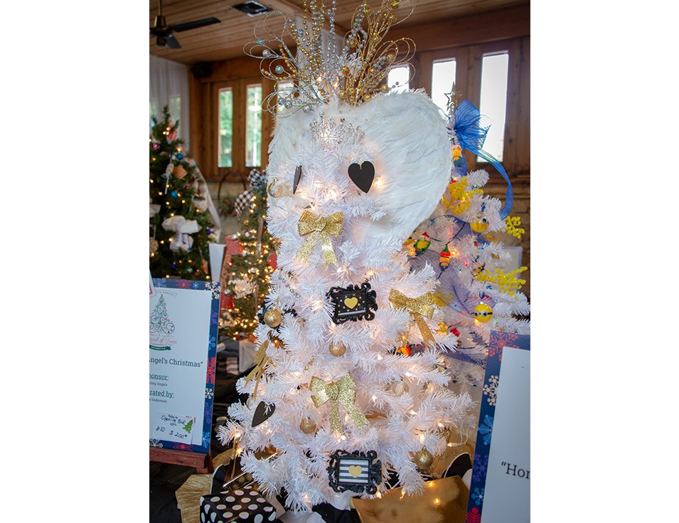 5th Annual Festival of Trees New Braunfels 3.png