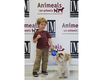 Virtual Wags & Whiskers Brunch 2021_Our youngest model Caleb with Grady the Dog in the Jet Set Pets Fashion Show.png